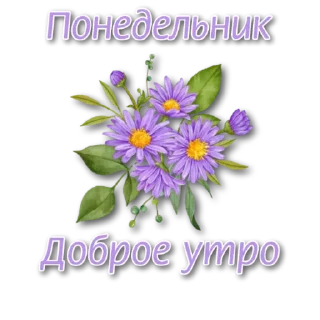 Sticker СТИКЕРЫ от @Lana_stikers - 6