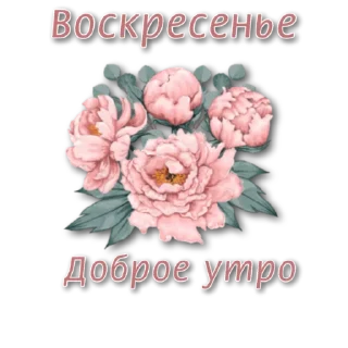 Sticker СТИКЕРЫ от @Lana_stikers - 1