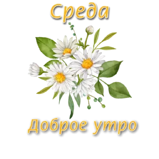 Sticker СТИКЕРЫ от @Lana_stikers - 8