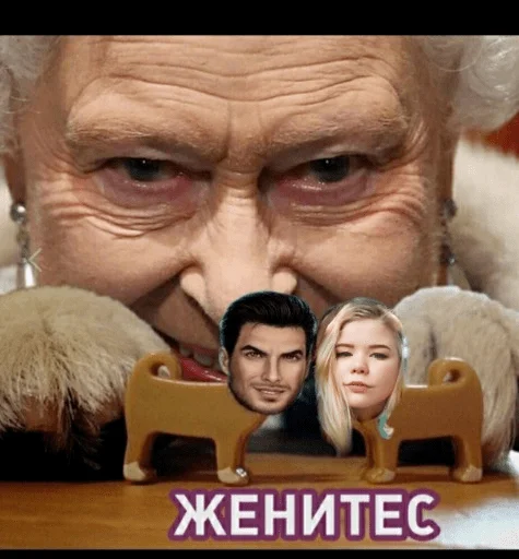 человеческое лицо млекопитающее Человек