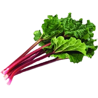 Sticker Narkotiki - 4