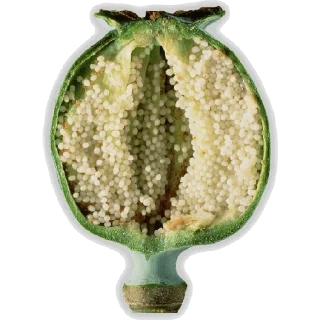 Sticker Narkotiki - 11