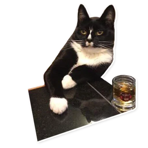 Sticker NathanStory - 1