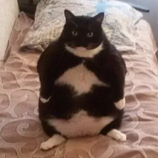 Стикер Nathan - 6