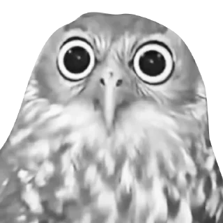 Стикер Nathan - 0