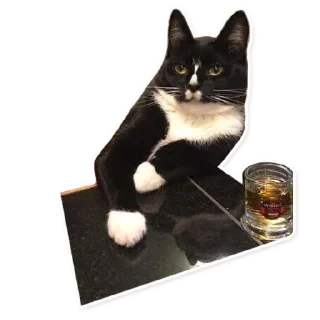 Стикер Nathan - 5