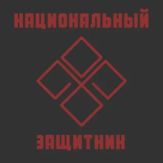 Стикер National Defender - 2