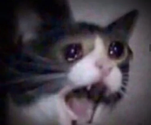 Стикер Только для Назима Nazim's by @fStikBot - 11