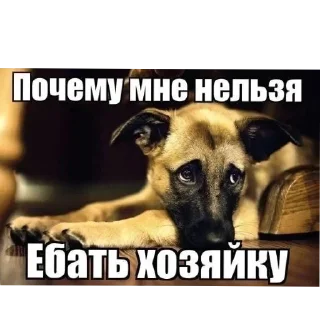 Sticker Больше стиков тут: @stikery4 - 11