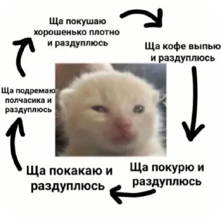 Sticker Не буди во мне зверя. - 4