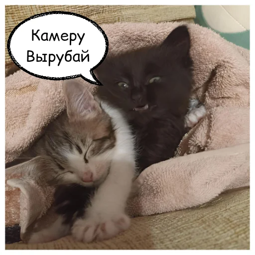 Sticker NeDarina - 1