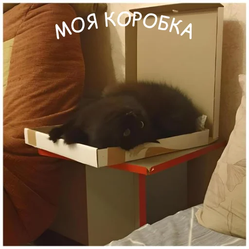 Sticker NeDarina - 1