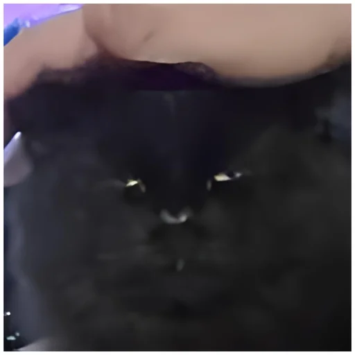 Sticker NeDarina - 1