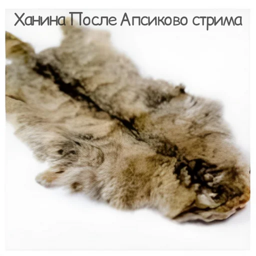 Sticker NeDarina - 1