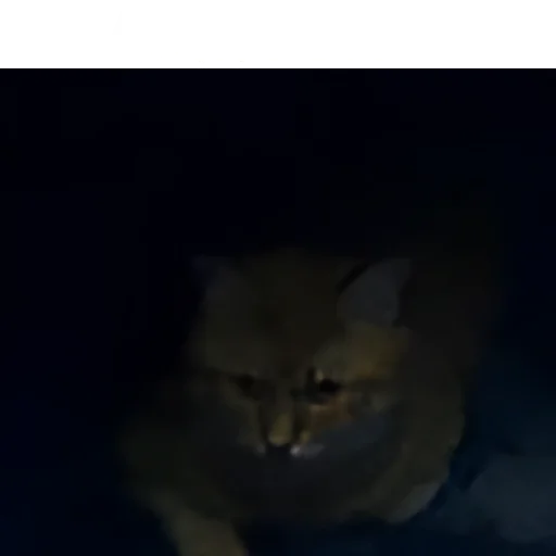 Sticker NeDarina - 1