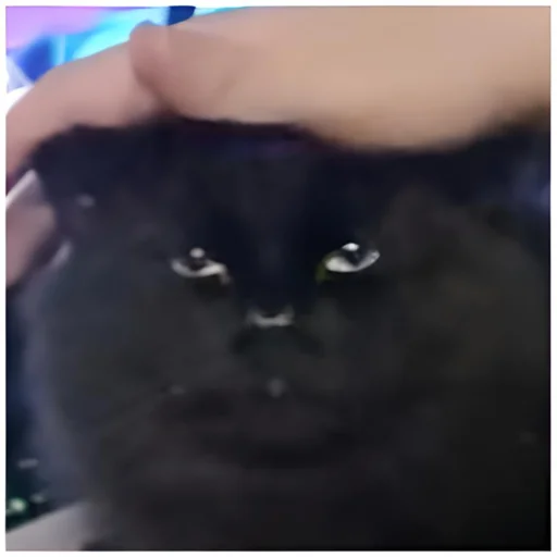 Sticker NeDarina - 1