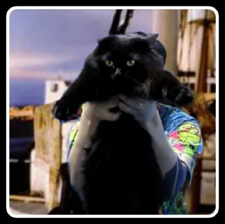 Sticker Чипусик Боевой Картончик 🥖 - 11