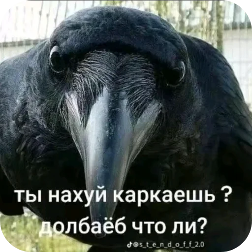 Sticker NeSmotriAToGeemStanesh - 1