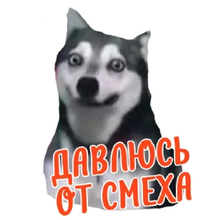 Sticker @tysya_pro_freelance - 7