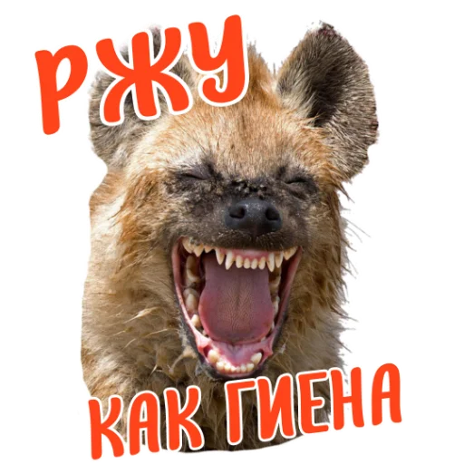 @tysya_pro_freelance - 