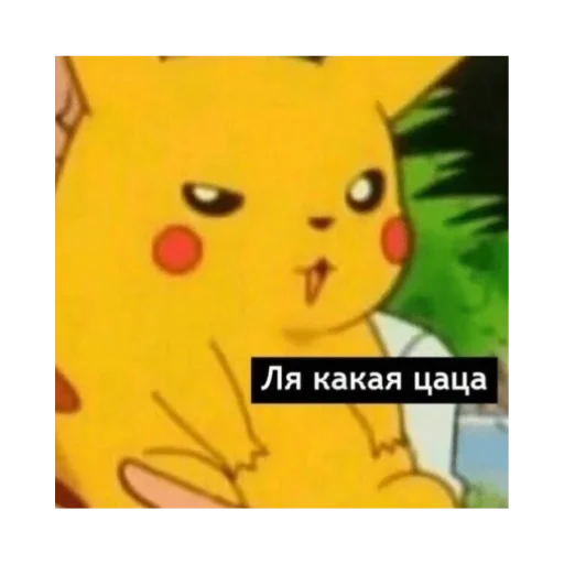 Не подглядывай сюда - животное