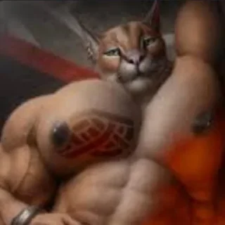 Стикер Кот - 7