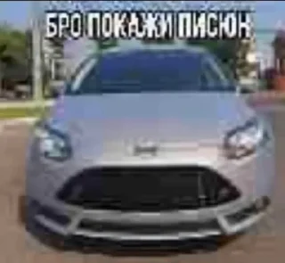 Стикер Кот - 3