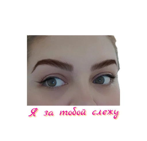 Sticker Nedalyot - 1