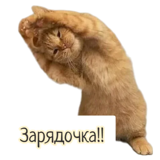 Бесёнок.ру - 