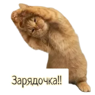 Стикер Бесёнок.ру - 0