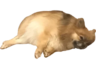 Sticker Несси - 1