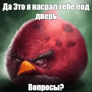 Sticker niger birds - 2