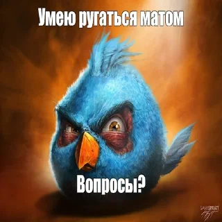 Sticker niger birds - 0