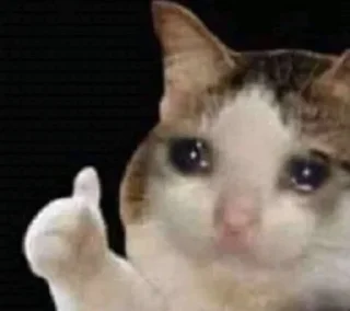 Sticker КотяПлак😭 ЧАТ @AnimeObshcheniye - 0