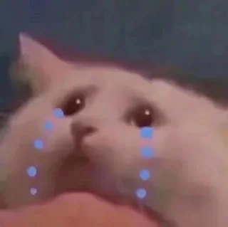 Sticker КотяПлак😭 ЧАТ @AnimeObshcheniye - 9