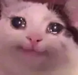 Sticker КотяПлак😭 ЧАТ @AnimeObshcheniye - 11