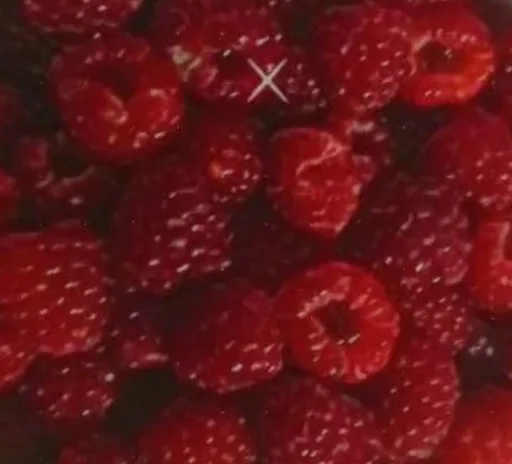 фрукт ягода frutti di bosco