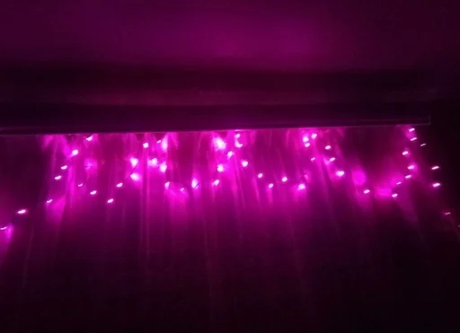 пурпурный пурпурный фиолетовый