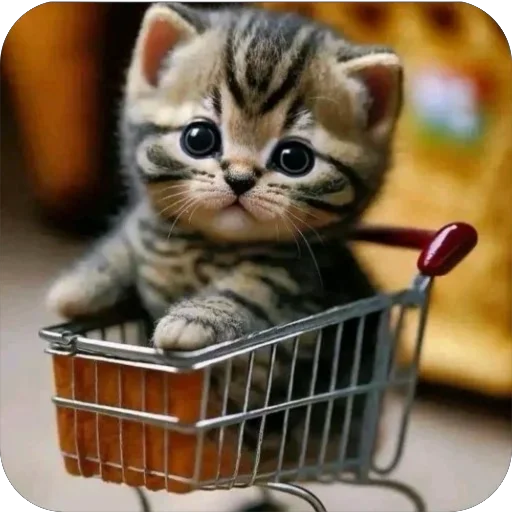 Sticker NejrosetnyeVsratki - 1