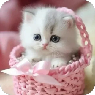 Стикер Нейросетные всратки - 11