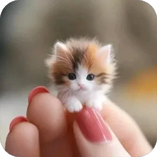 Стикер Нейросетные всратки - 1