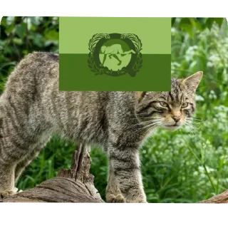 Sticker @CAQUD ☰⃠@Za_KBD - 10