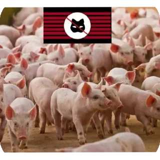 Sticker @CAQUD ☰⃠@Za_KBD - 4