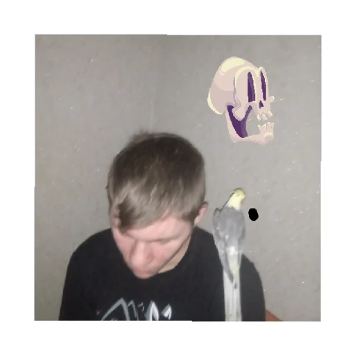 Sticker Некитосик Соловуха - 1