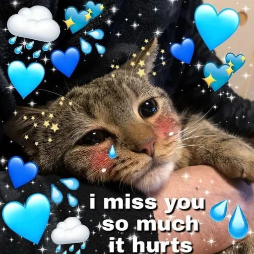 животное млекопитающее кошка