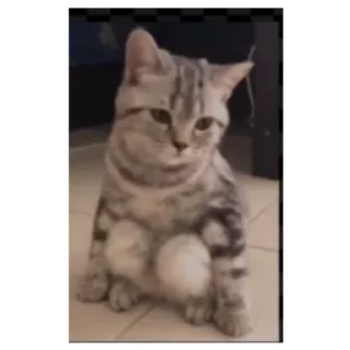 Стикер Некот - 1