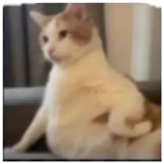 Стикер Некот - 0