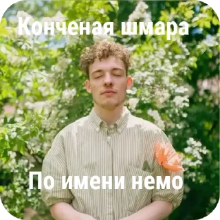 Стикер Немо!! конченый пидорас блять, запретите его - 3