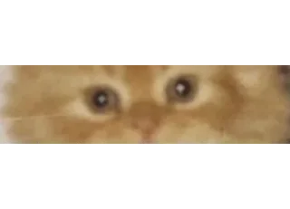 Sticker немцы 2 - 10