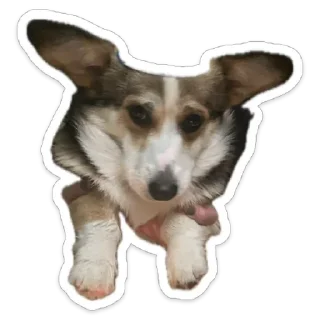 Стикер Марсель - 9